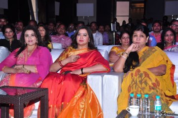 Mama Manchu Alludu Kanchu Movie Audio Launch